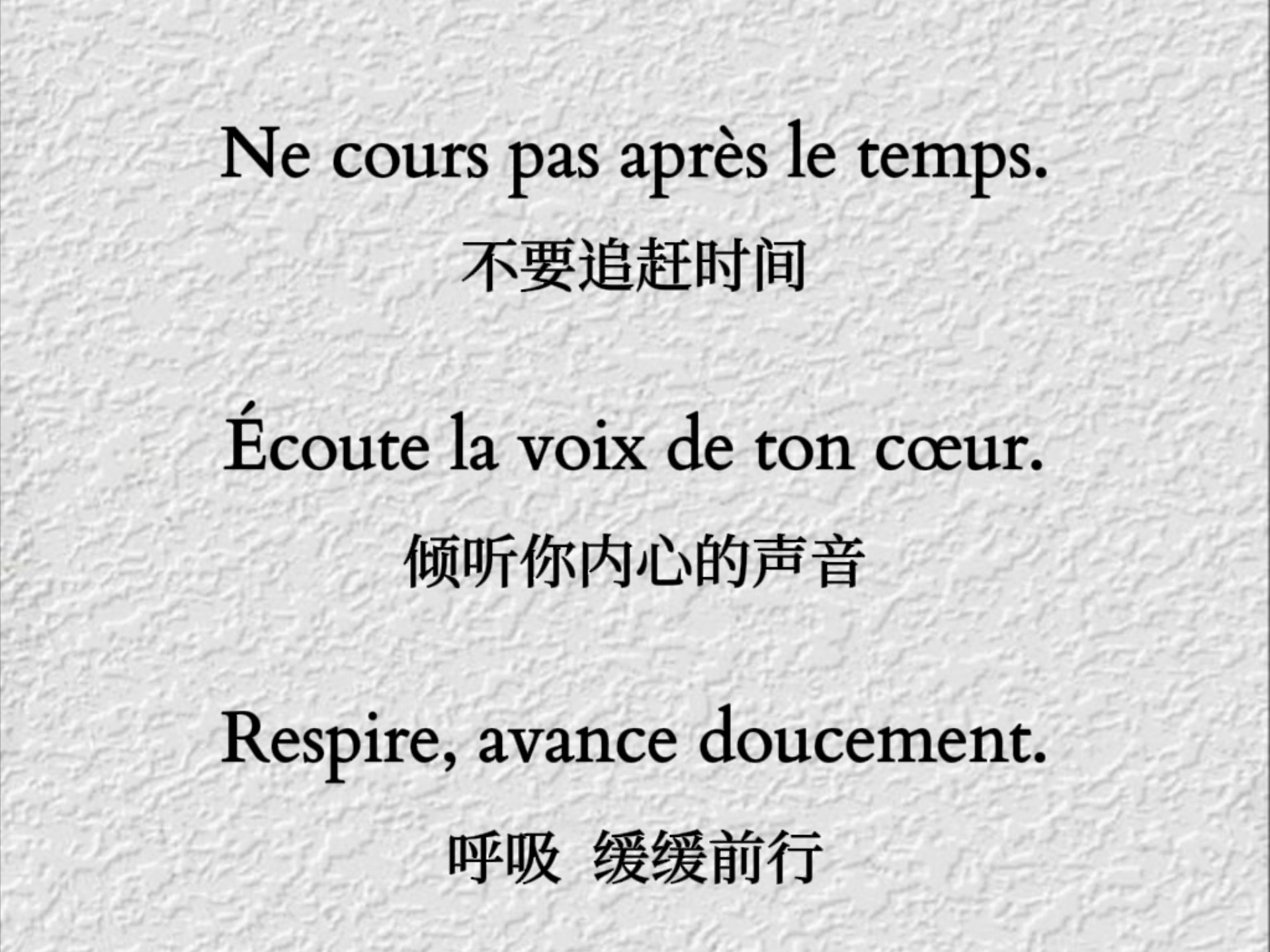 法语｜La vie est une danse  ✨️