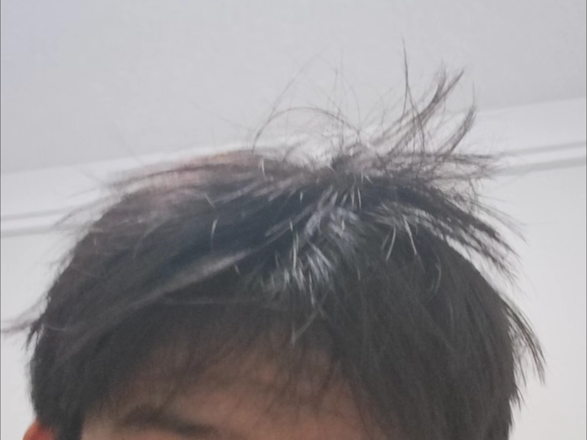 我他妈被热成傻鸟了