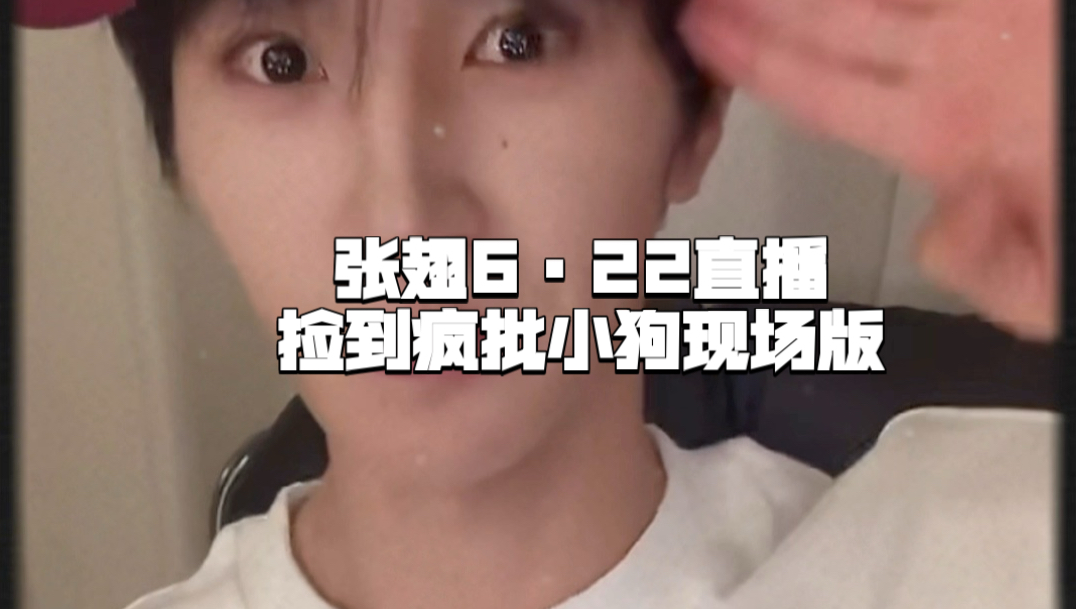 张翅622直播｜这样的小狗能忍住不捡的是这个｜现场表演捡到疯批