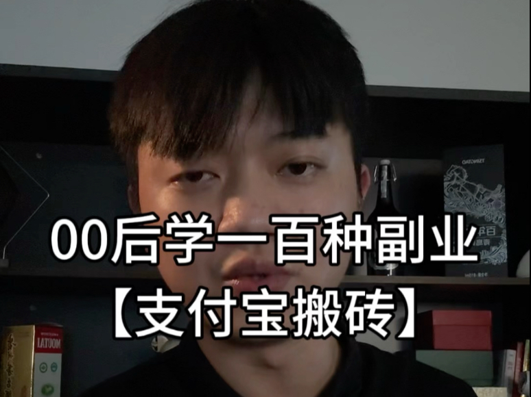 00后学一百种副业【支付宝搬砖】