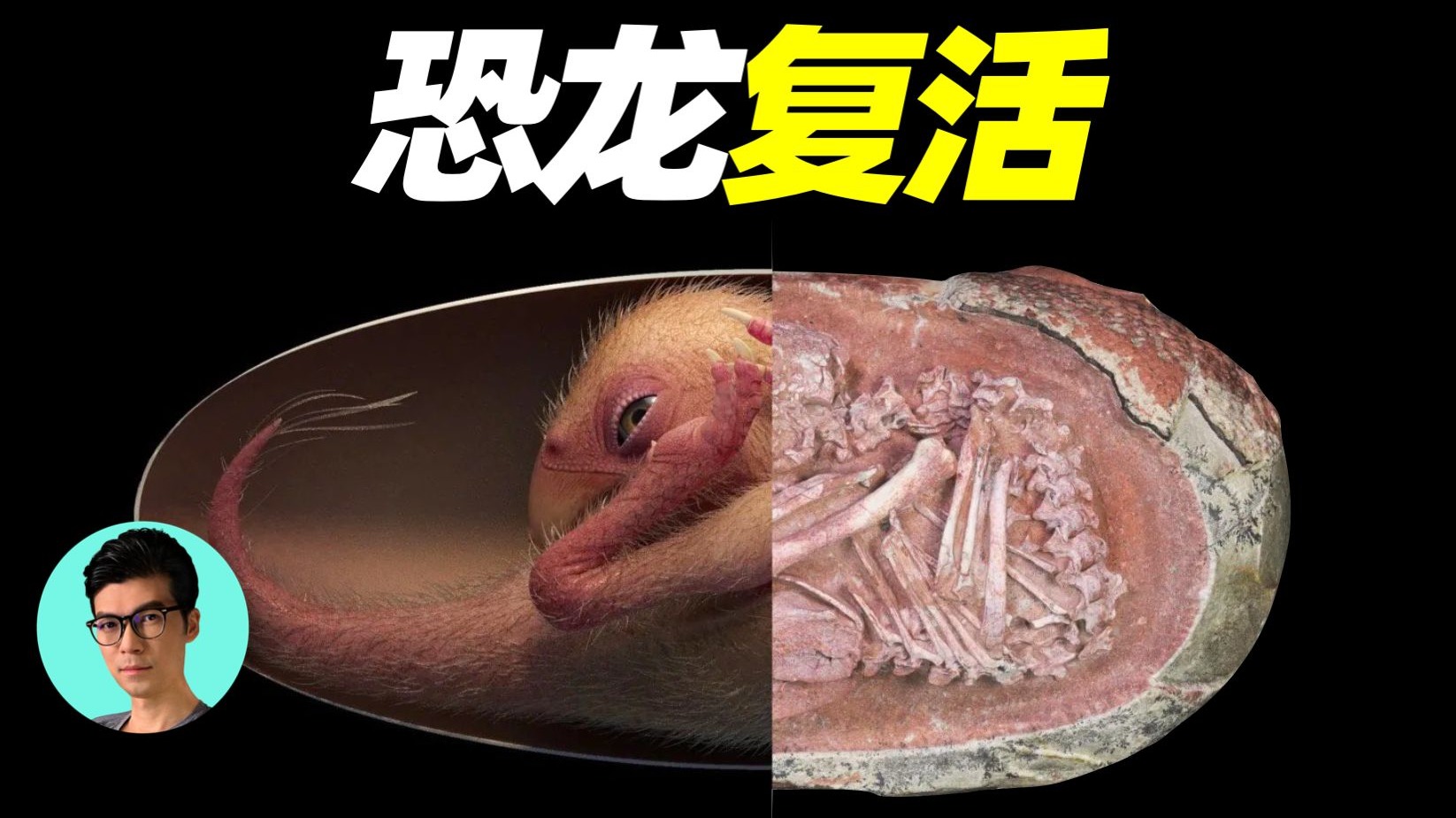 1.3万年前的恐狼被“复活”，我们离复活恐龙还远吗？人类是否打