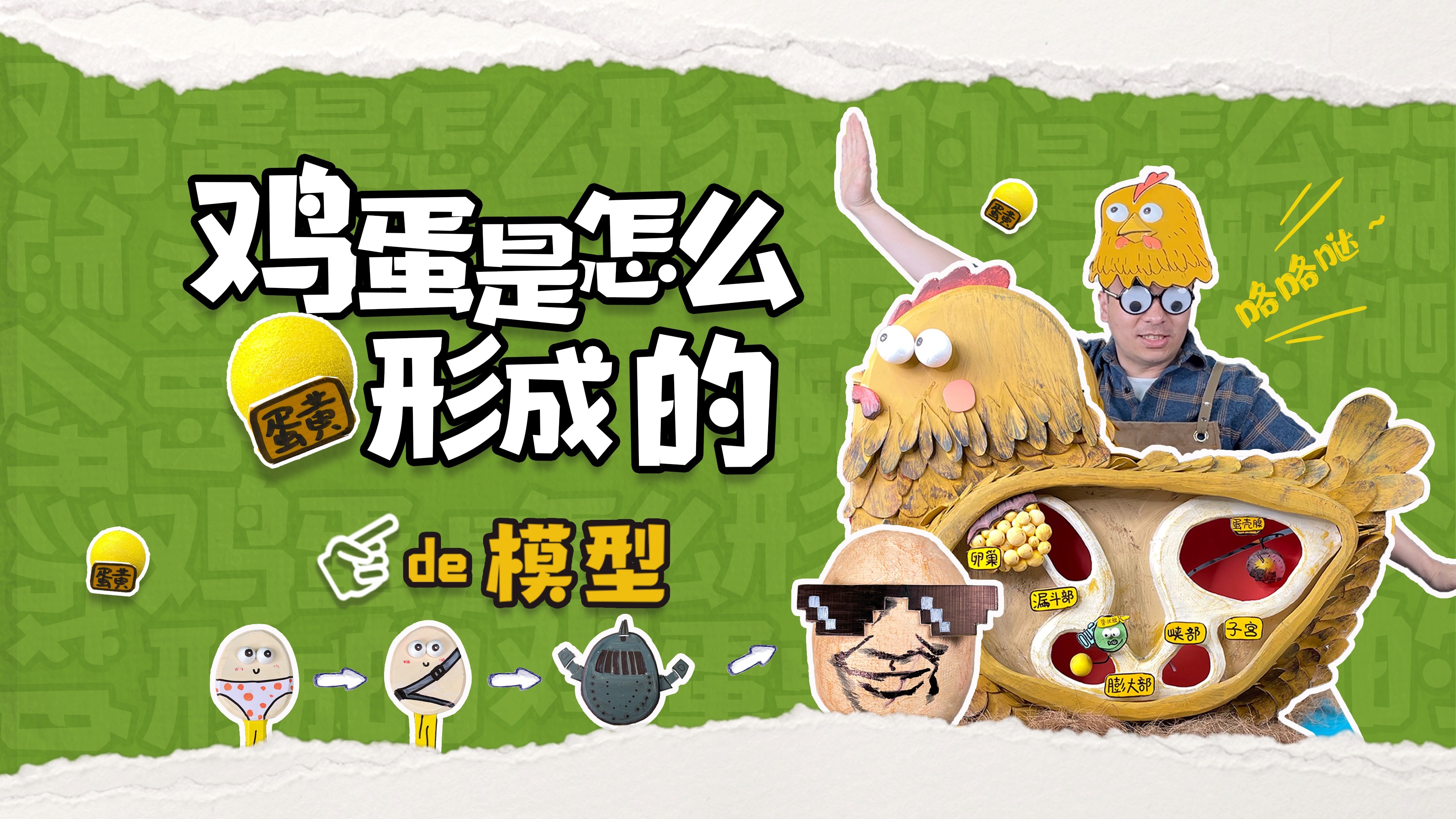 别争先有鸡还是蛋了！先有蛋黄还是蛋清？