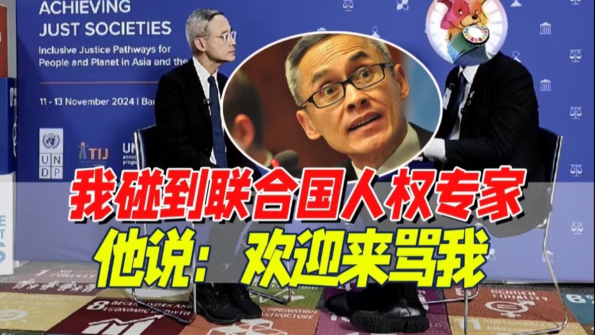 说最狠的话，挨最毒的骂：在联合国做人权专家