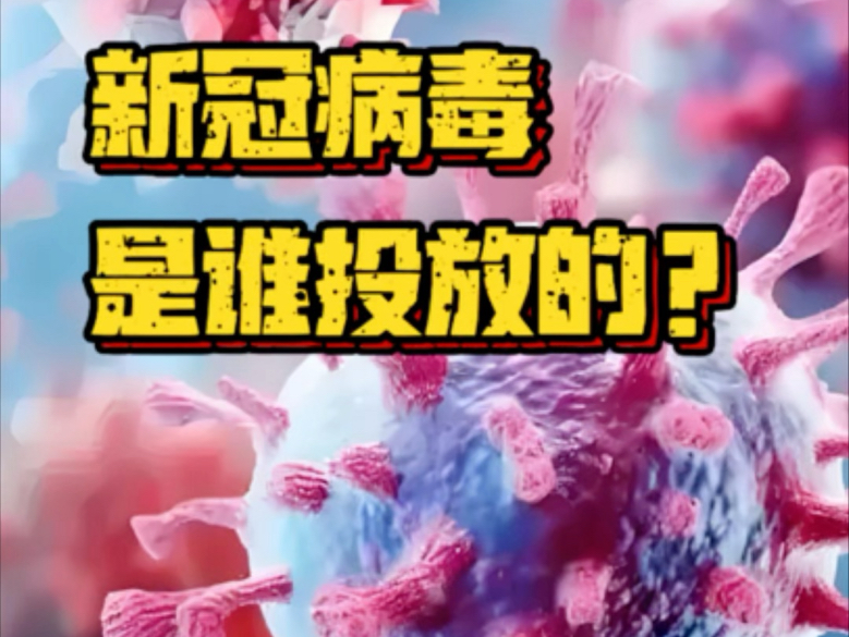 就是美国干的