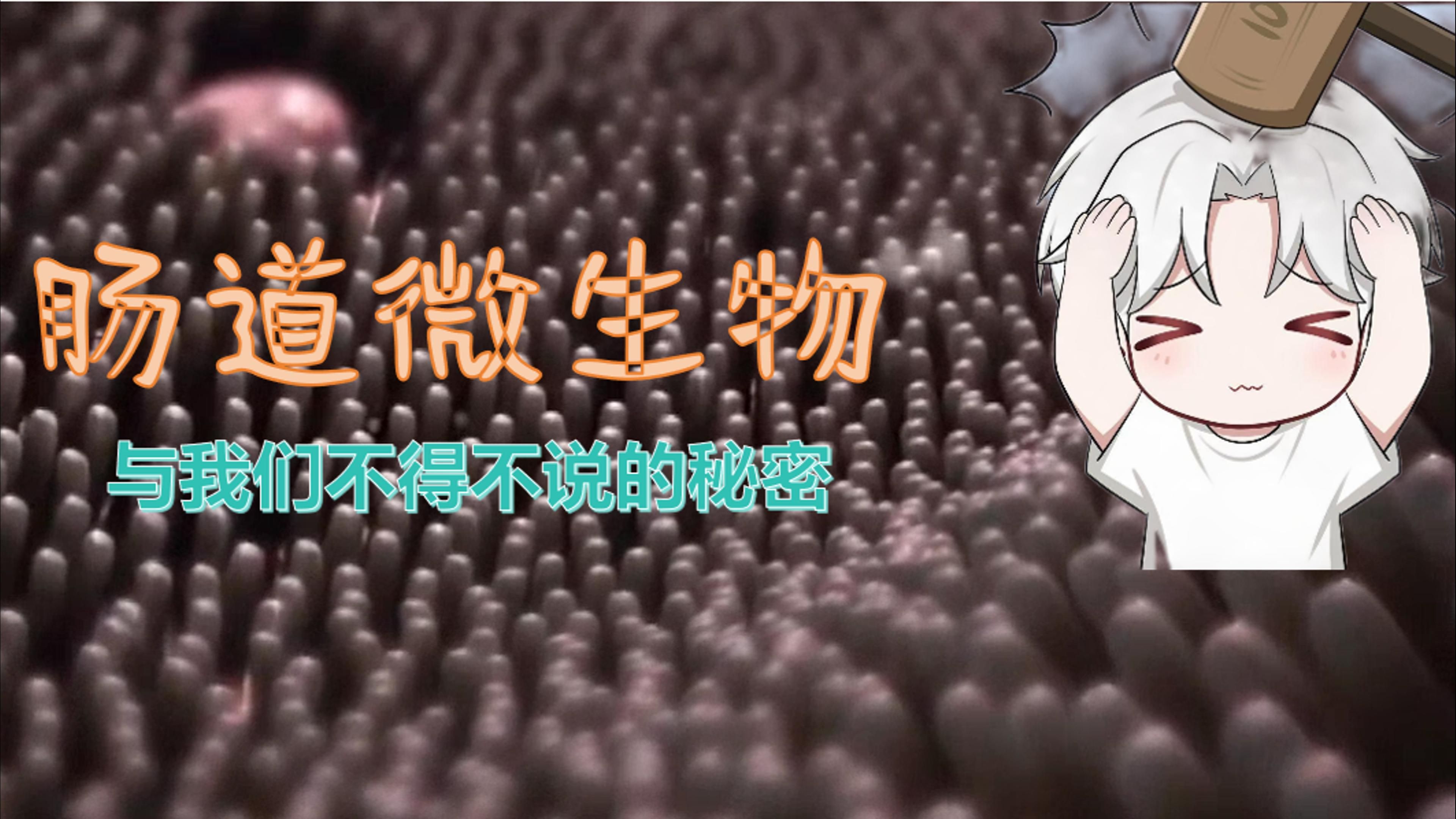 【肠道微生物】什么我们的肠道居然在控制大脑？肠道微生物与我