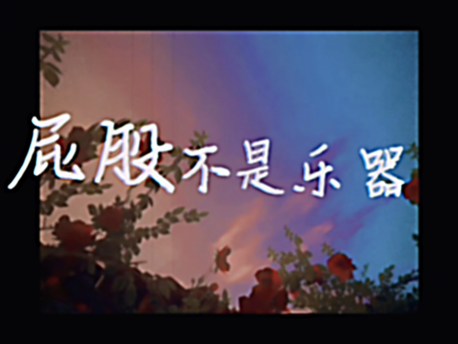 “屁股不是乐器，而是在娇笑” 户野尔康读诗会