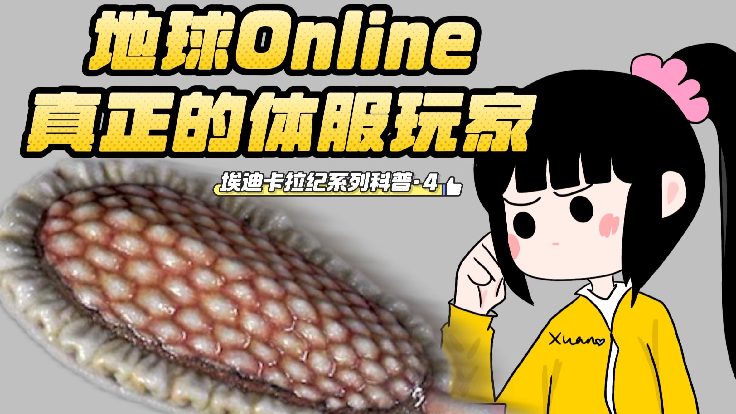 我那其貌不扬的老祖宗～