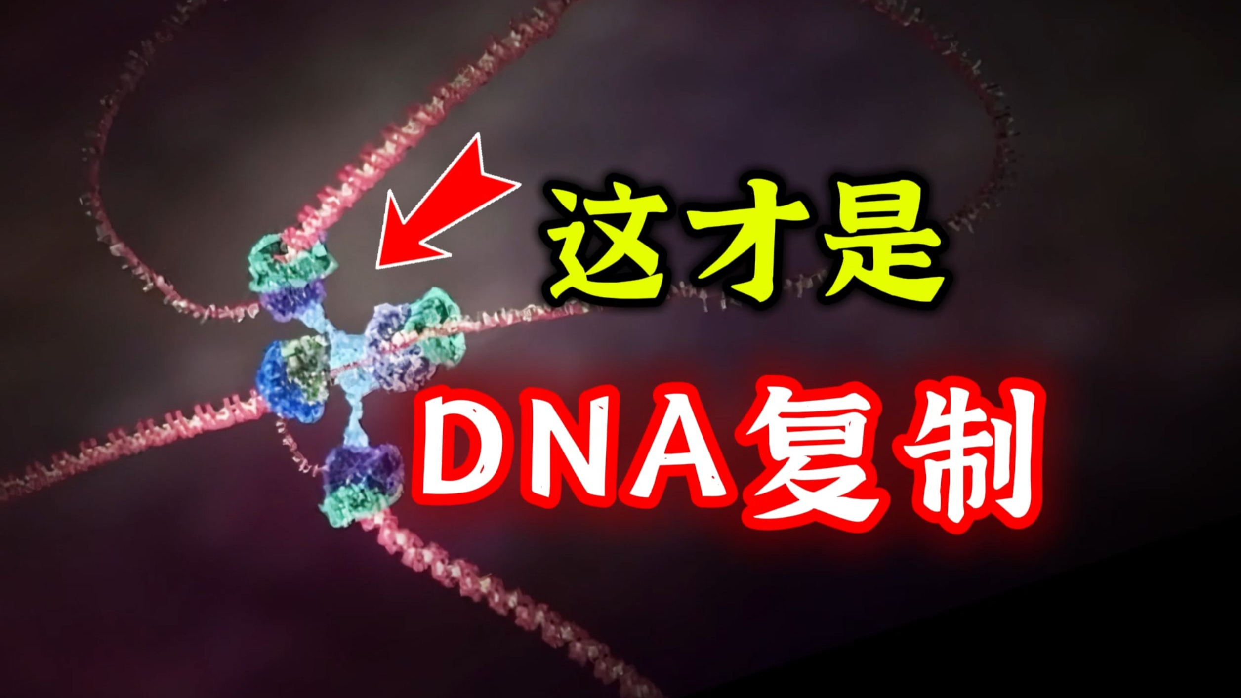 [细胞秘事36] 准确率99.999999%，DNA复制到底多复杂？