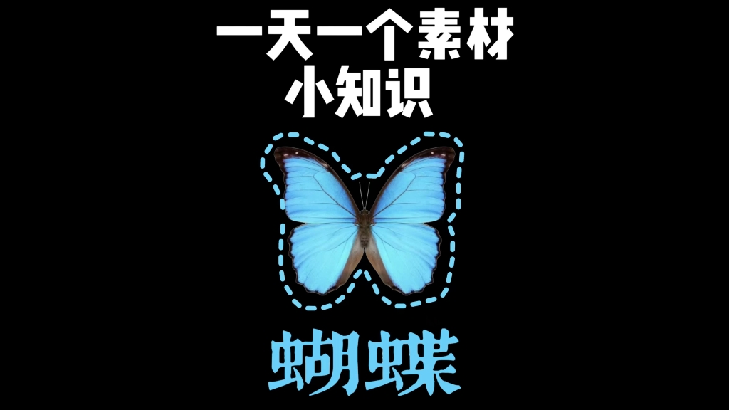 蝴蝶——“灵魂、重生、爱情、蜕变与自由”
