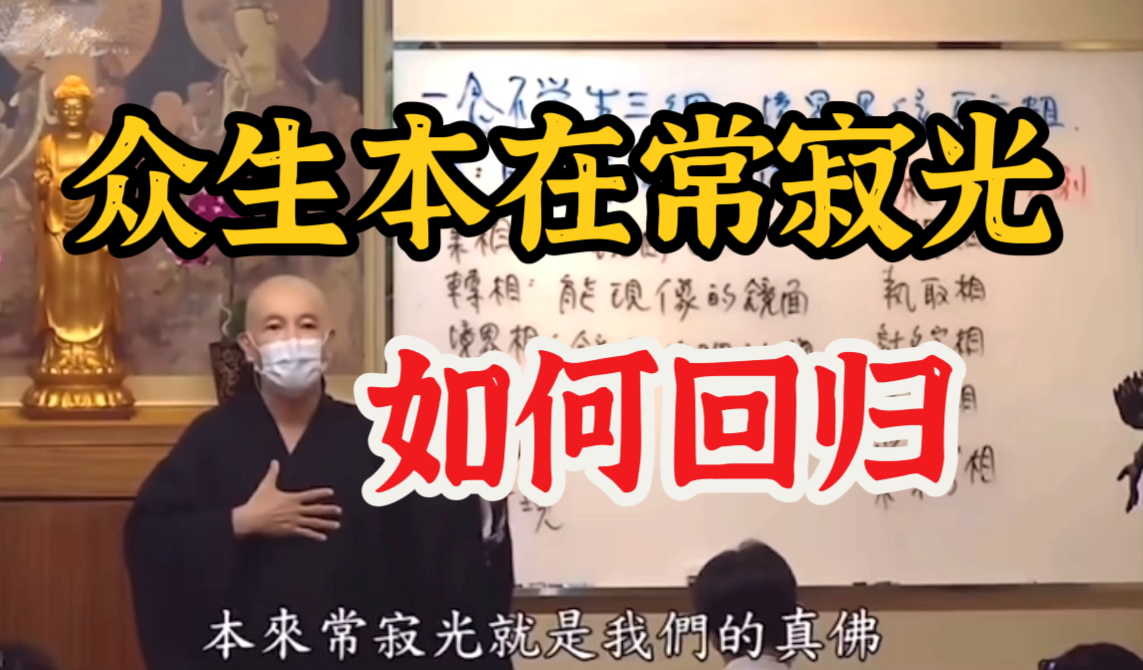 众生从常寂光掉下来，一直迷到现在轮转于娑婆世界｜体佛法师