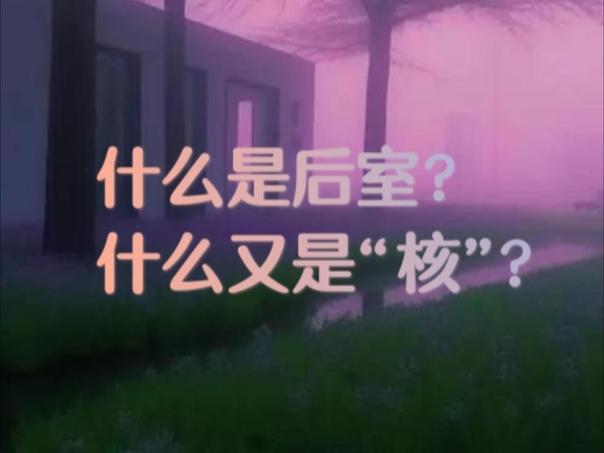 何谓后室与“核”？——千禧年的余晖!