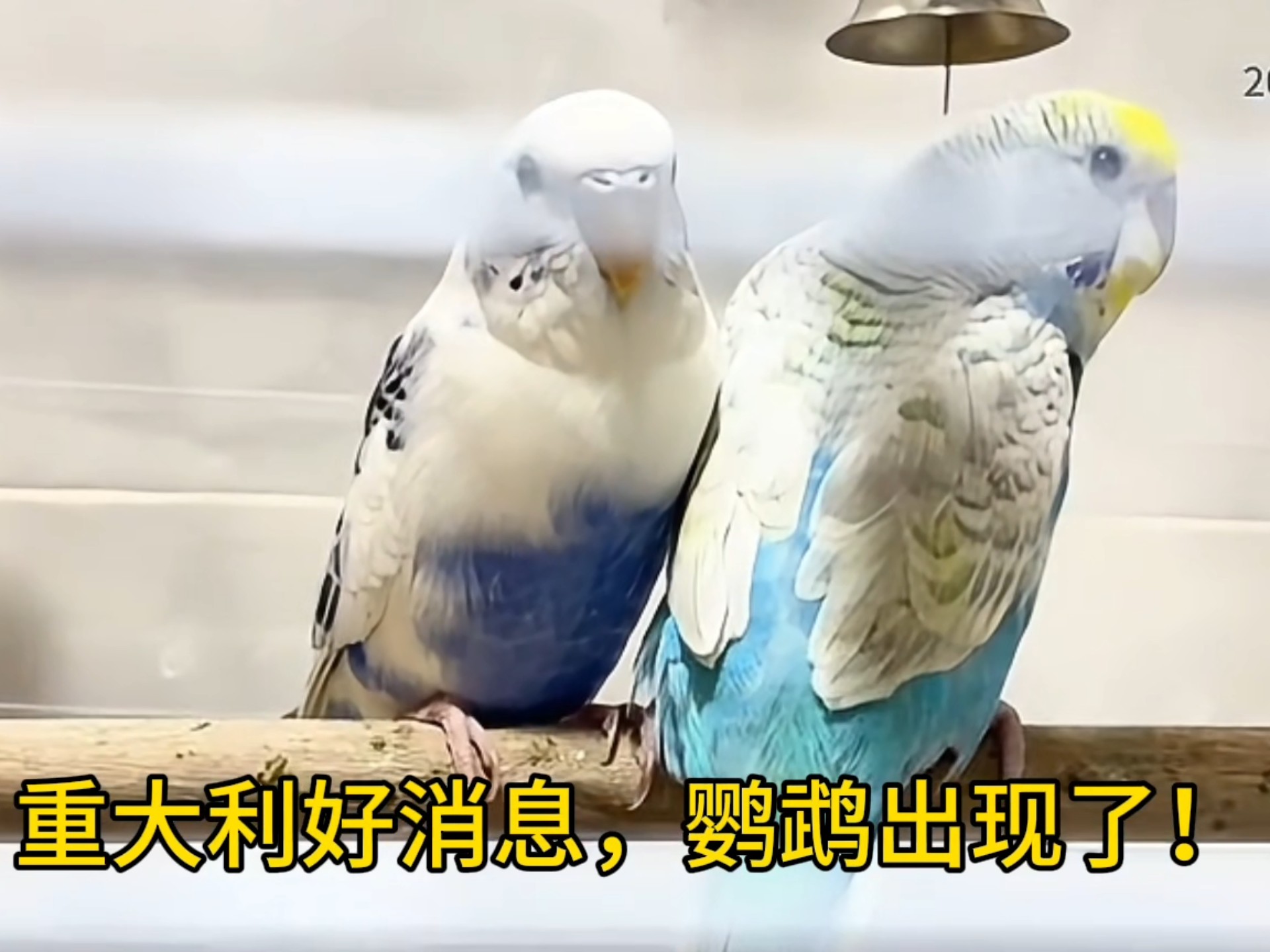 8月10日李大霄的暗示解读