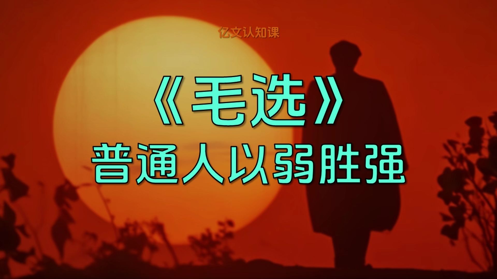 《毛选》：普通人没资源，如何以弱胜强？