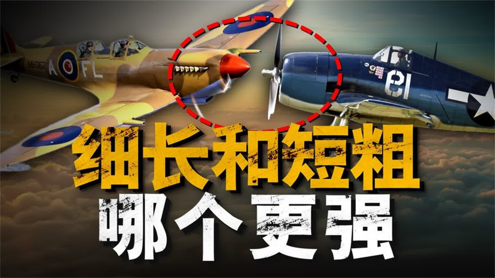 二战时欧洲战场和太平洋战场上，战机鼻端为何大不相同？