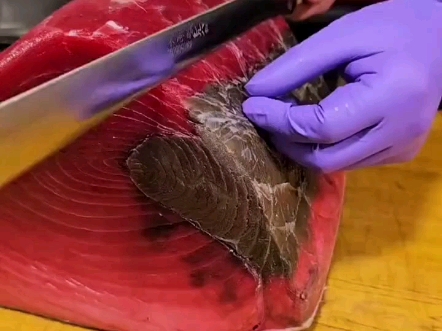 金枪鱼身上那部分黑色的肉到底是什么  #知识#科普