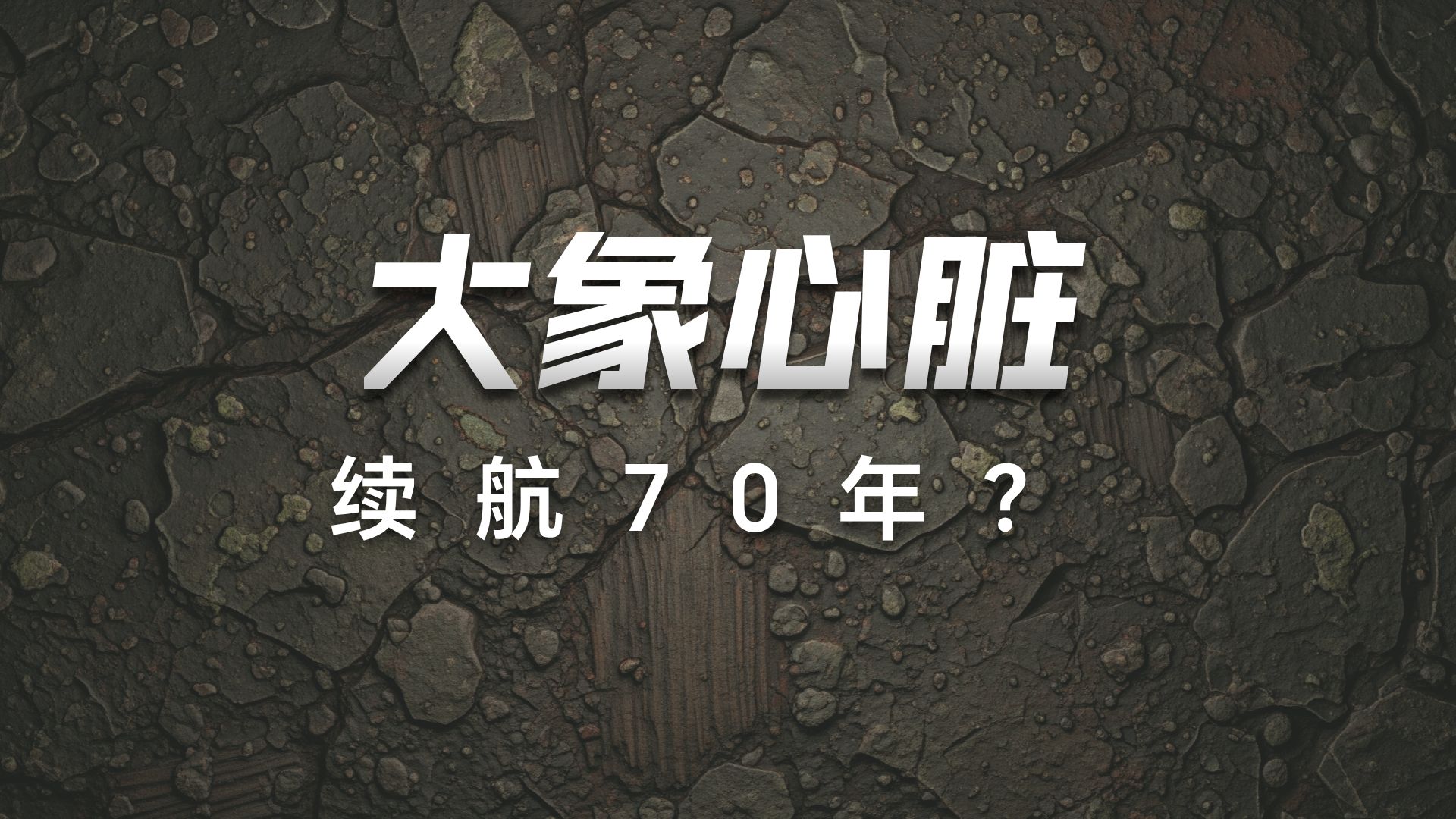 世界上最大的心脏