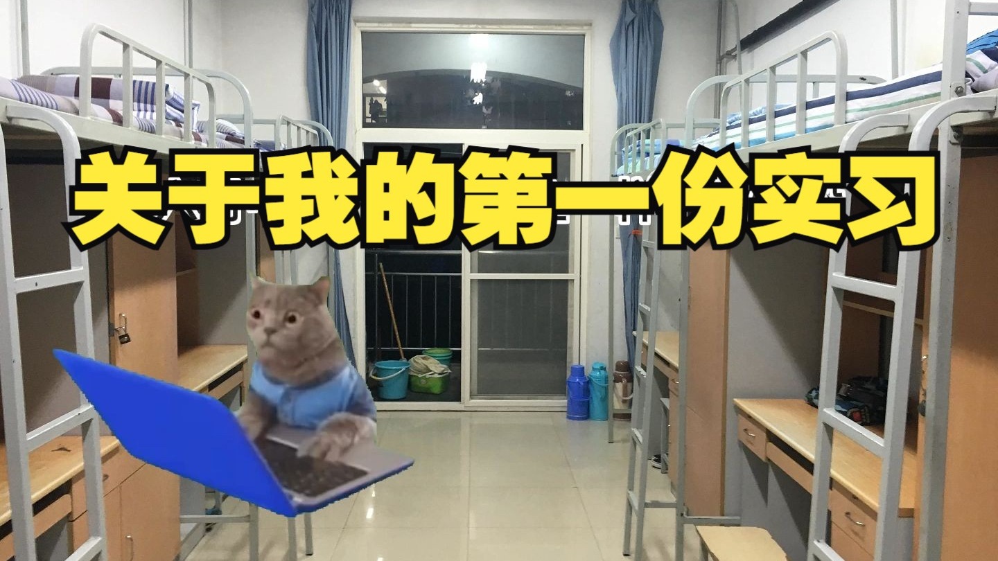 记录我的第一份实习工作