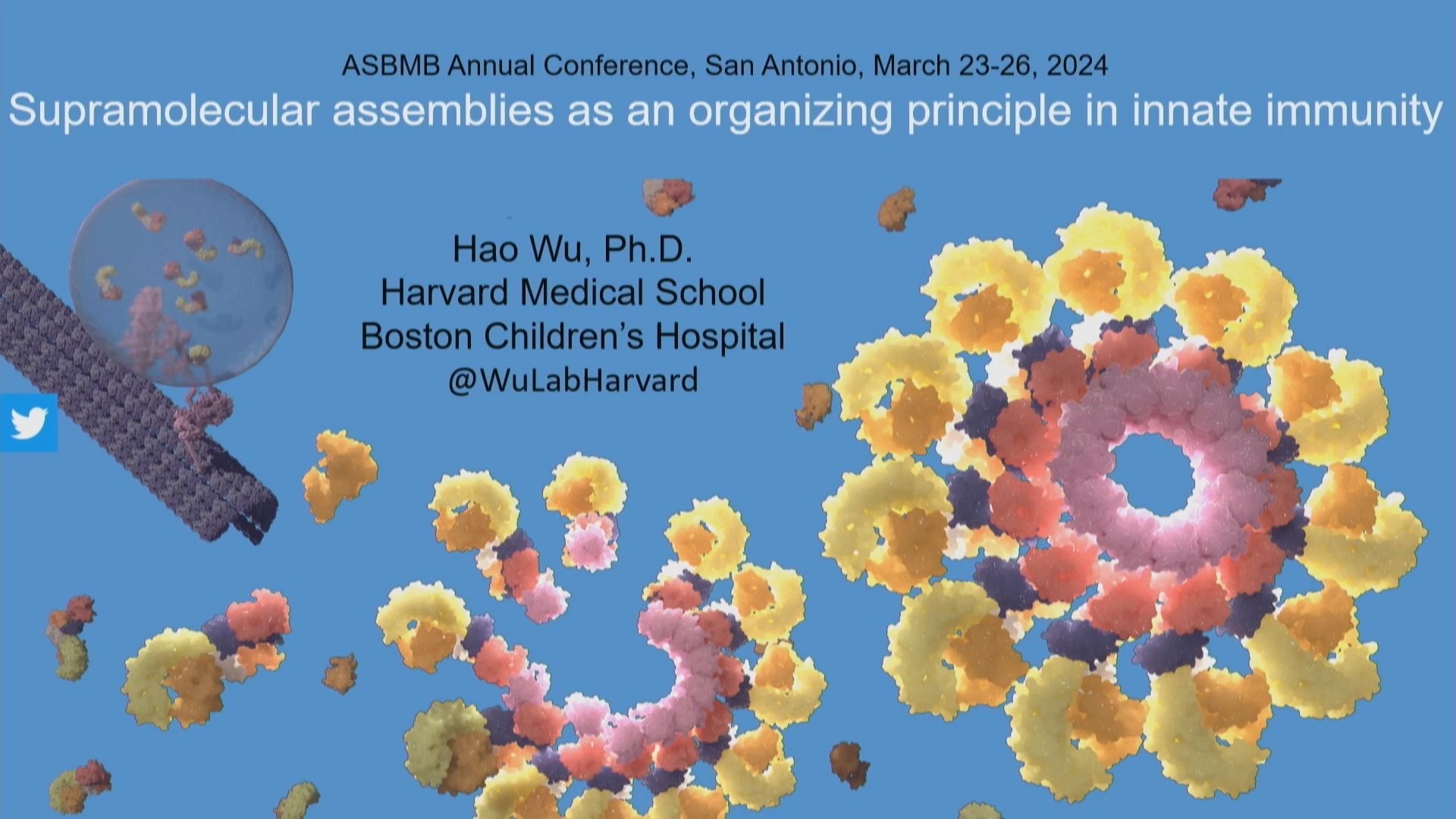 Hao Wu 2024 Bert & Natalie Vallee Award in Biomedical Sc