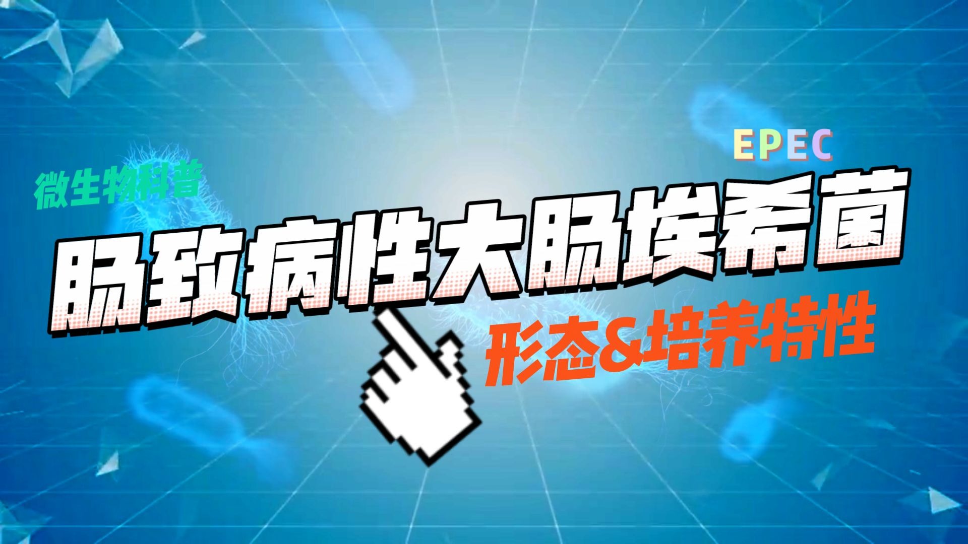 【鑫科生物小课堂】肠致病性大肠埃希菌的形态与培养特性
