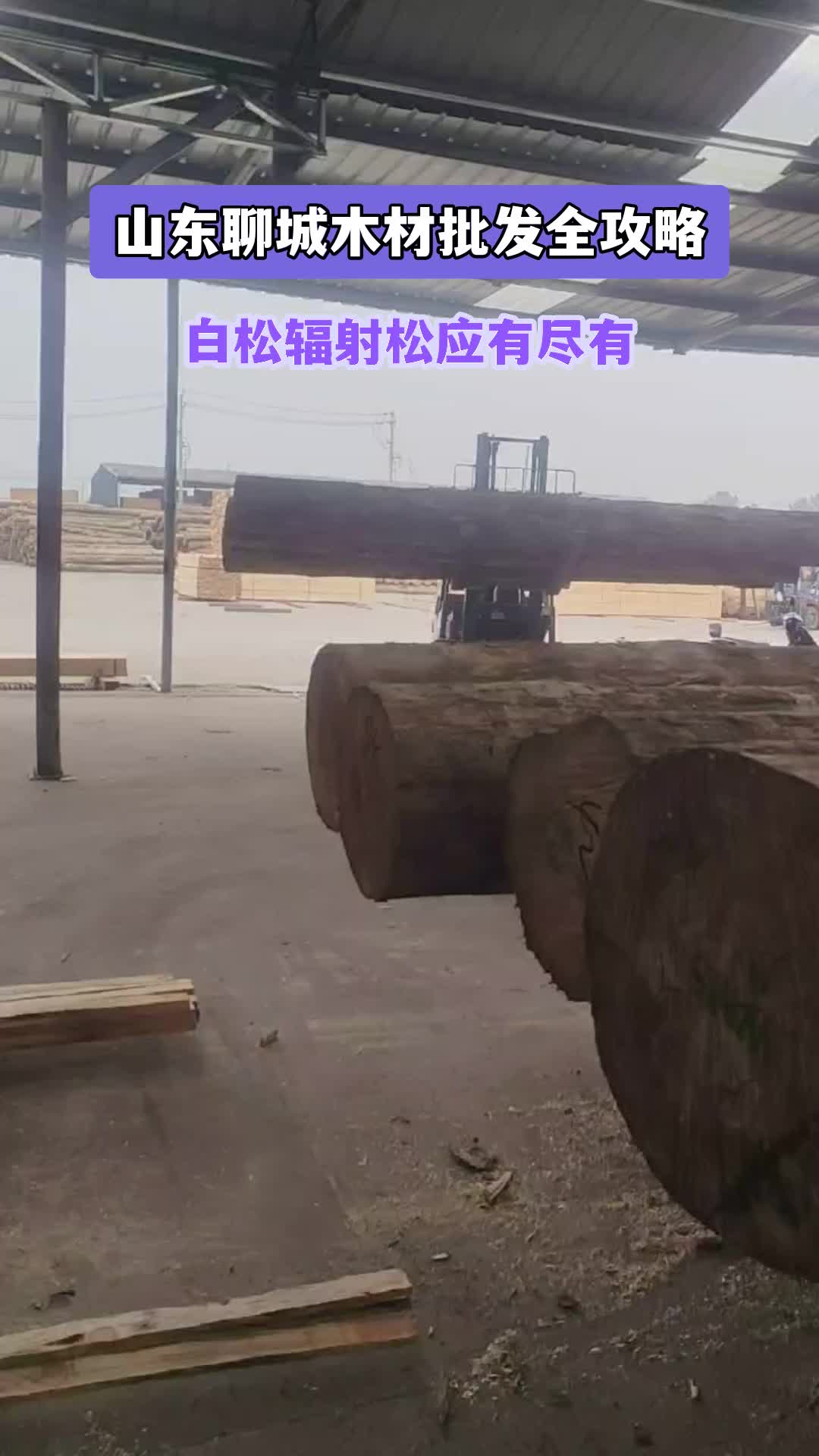 山东聊城木材批发市场地址，山东聊城托盘木方加工厂家 #聊城木