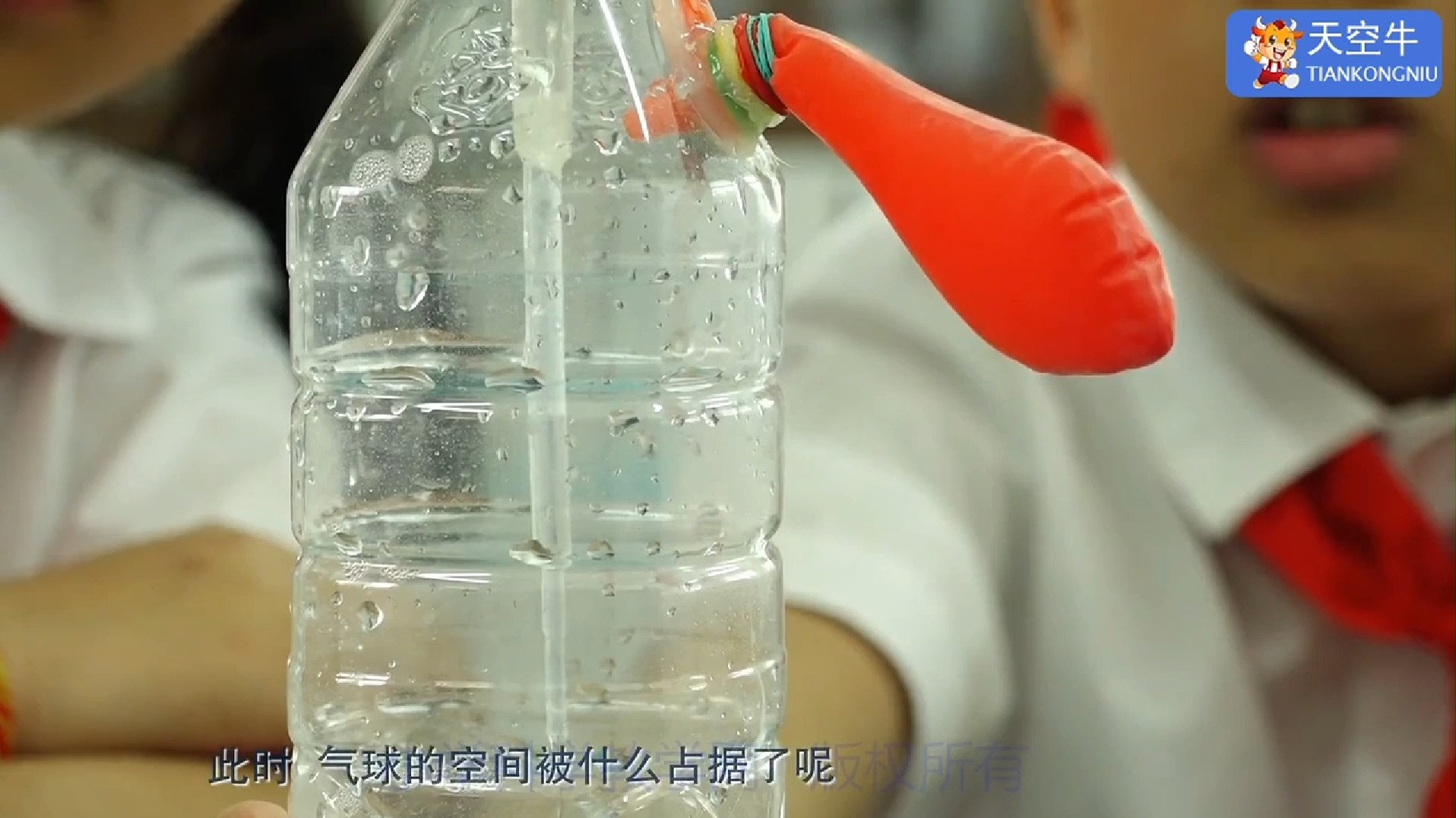 3上2.2 小学教科版科学实验三年级上册第二单元第二课2.2水珠