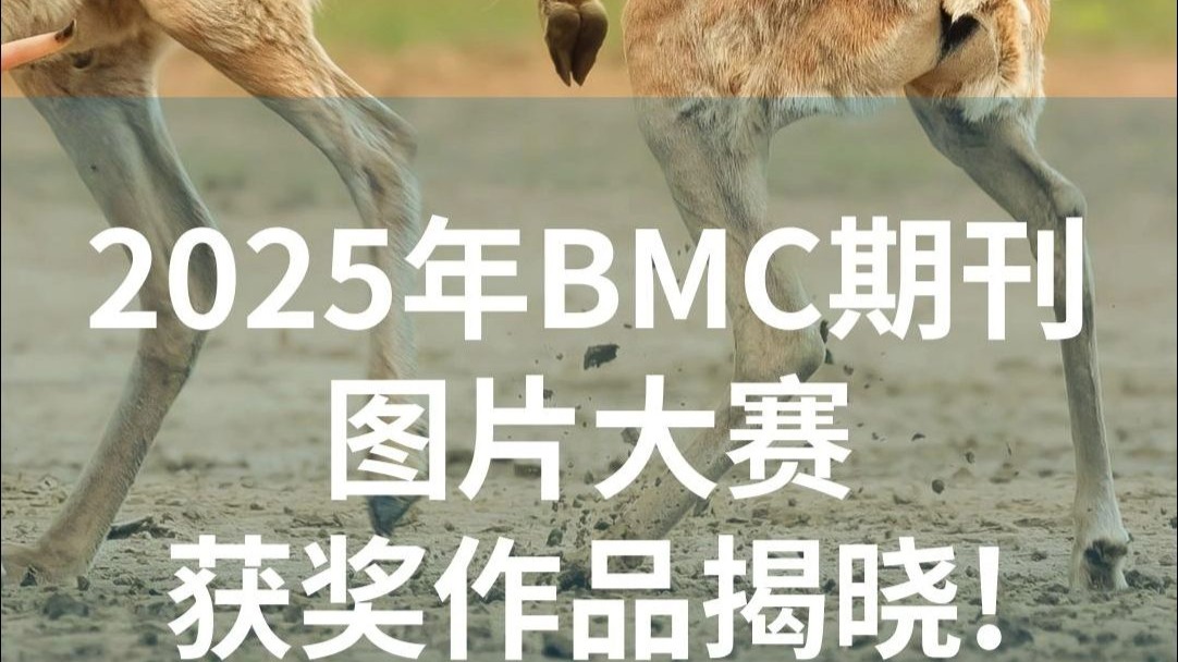 2025年BMC期刊图片大赛获奖作品揭晓！