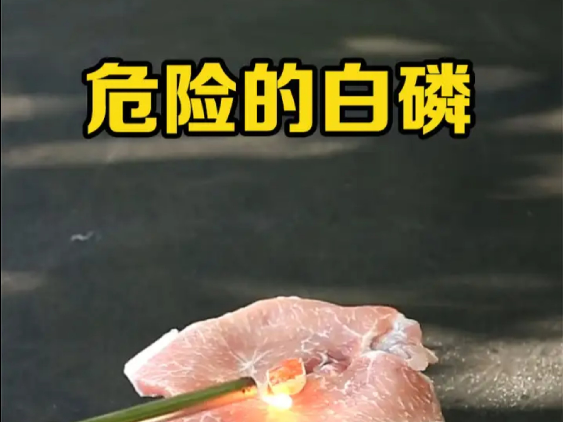 "白磷遇猪肉？这实验千万别在家试！