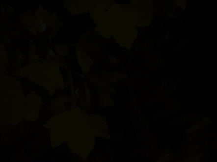 这是我摄像头的表达