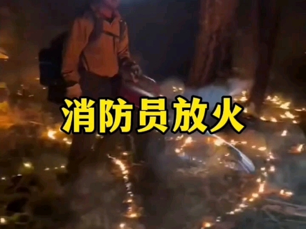 消防员不灭火反而故意放火 #科普 #涨知识 #奇闻趣事