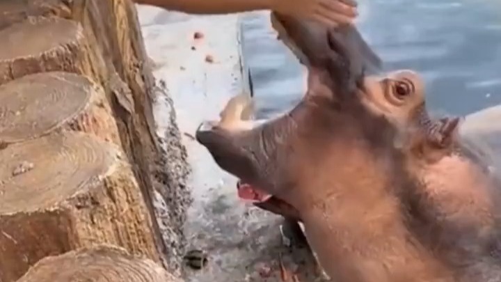 你这让思密达看见情何以堪……