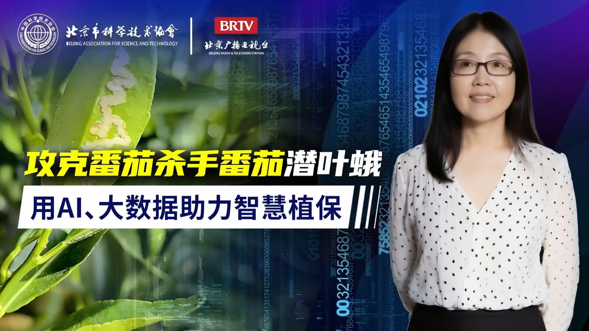 【科技新视点】攻克番茄杀手番茄潜叶蛾