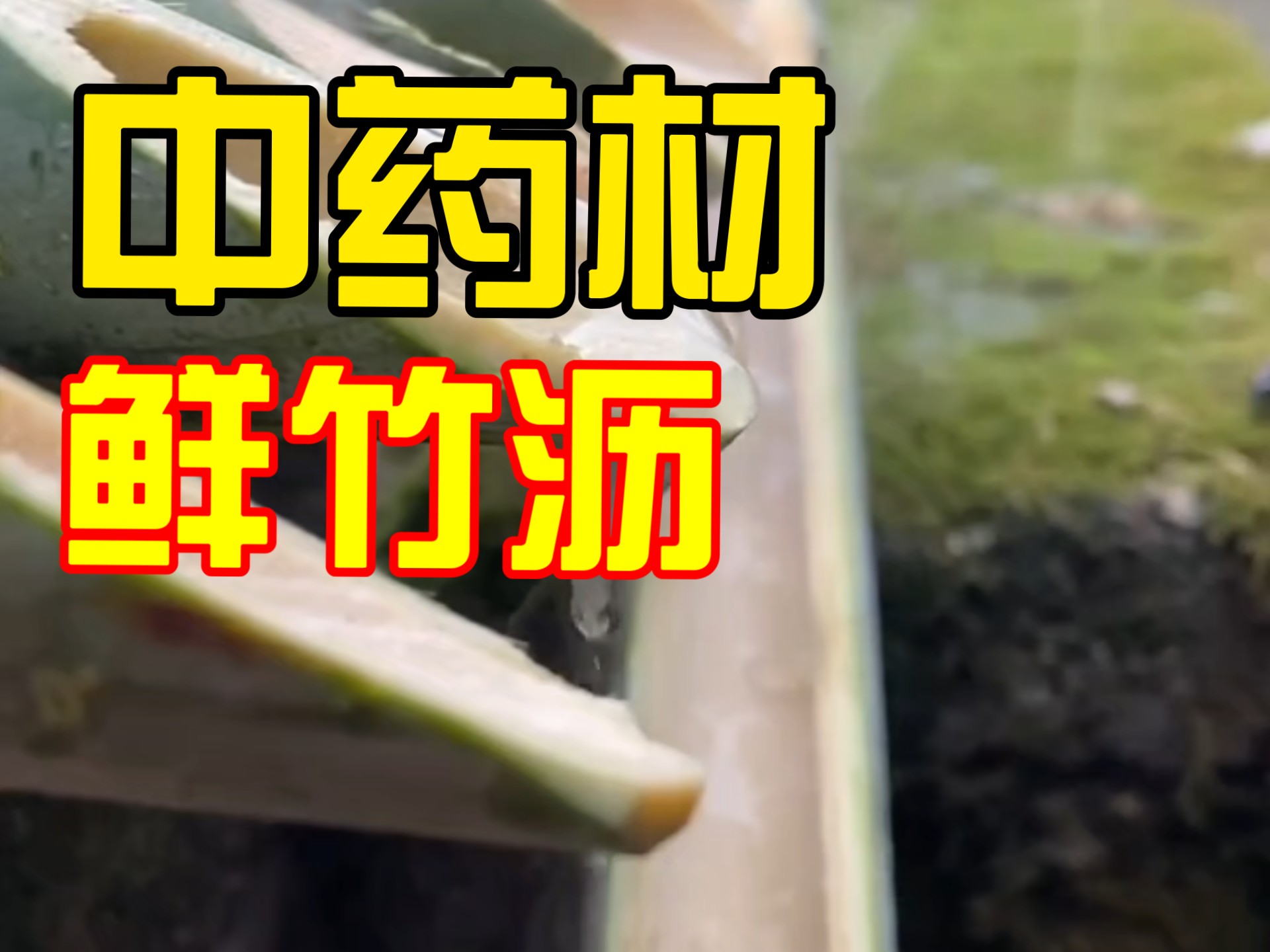 这么好的中药材，几乎没有卖的了！
