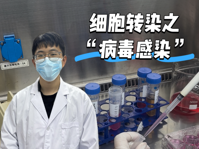 从失败到成功，历经两个月的细胞转染经验分享。