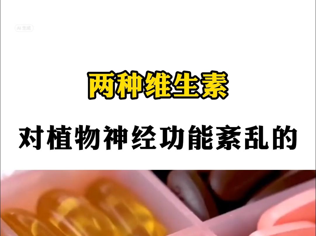 两种维生素，对植物神经功能紊乱的恢复有帮助