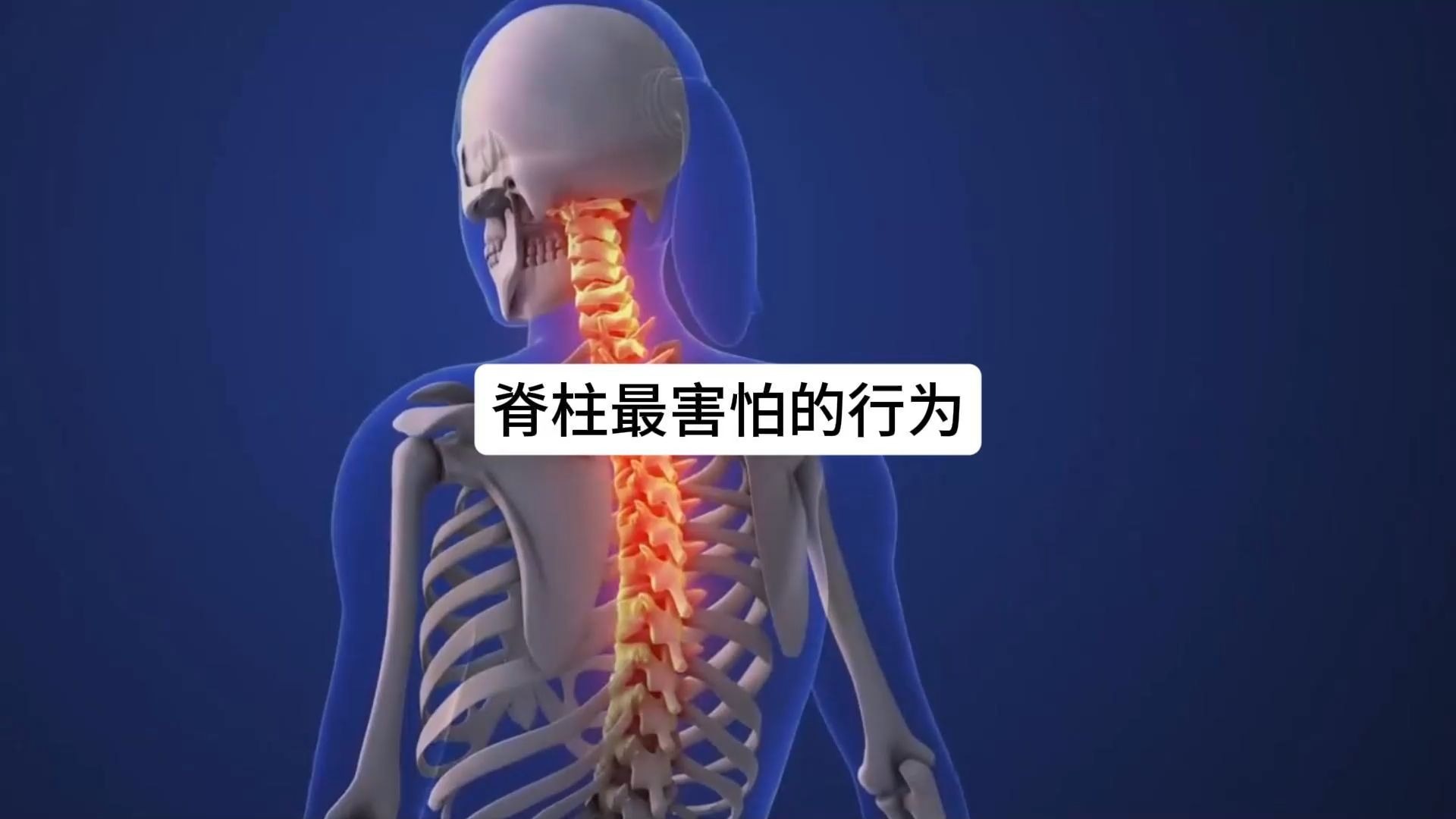 主人我是你的脊柱