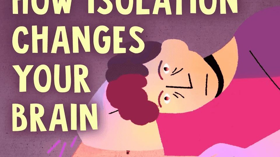 没有任何社交接触，你的大脑会发生什么？