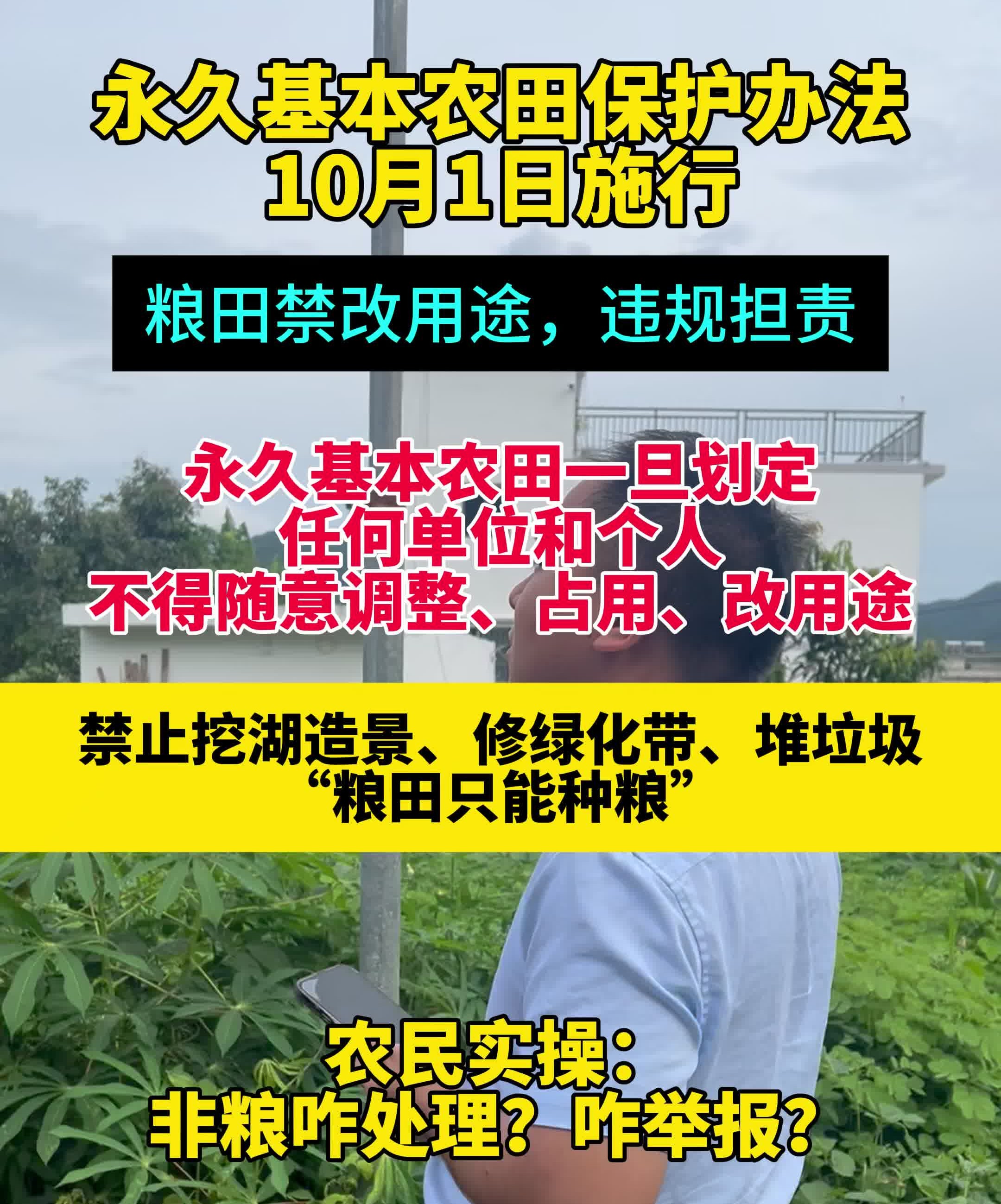 永久基本农田保护办法 10 月 1 日施行