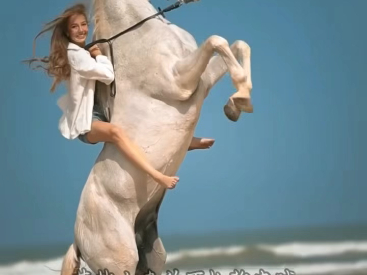 心静，是一件件事压下来的平和，心宽，是一点点委屈撑出来的格局