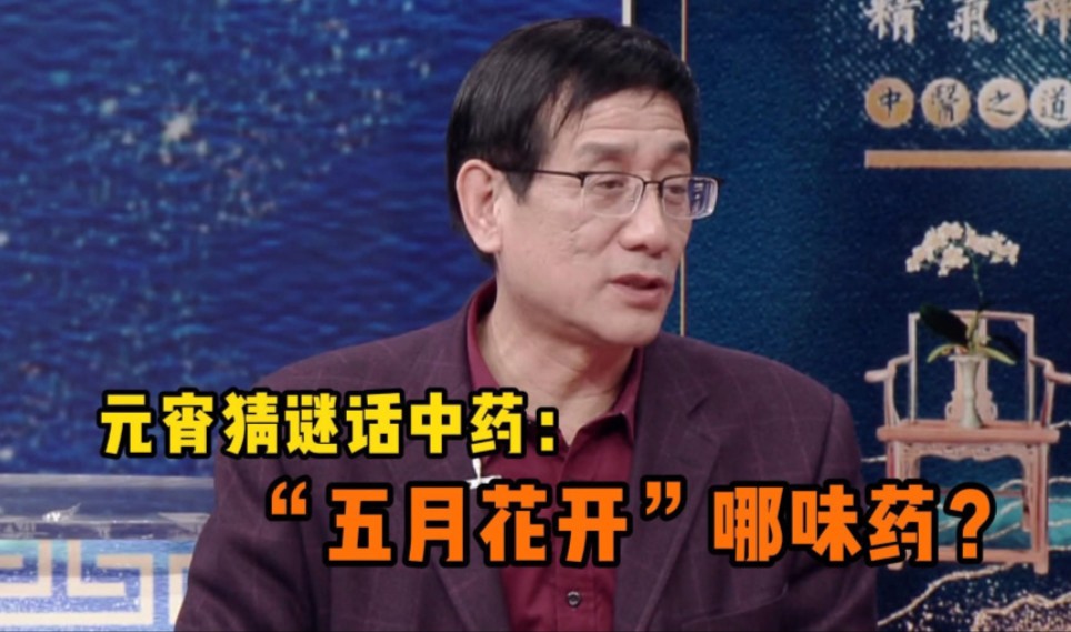 元宵猜谜话中药:“五月花开”哪味药？