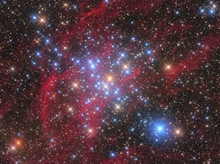 M41：小蜂巢星团