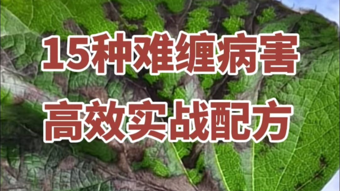 15种难缠病害高效实战配方！