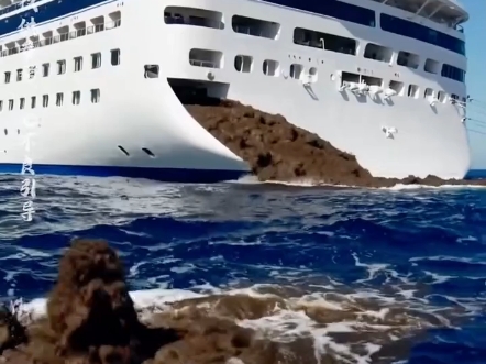 这就是游轮处理污水的方式吗，竟敢光明正大的，直接排进海里喂鱼