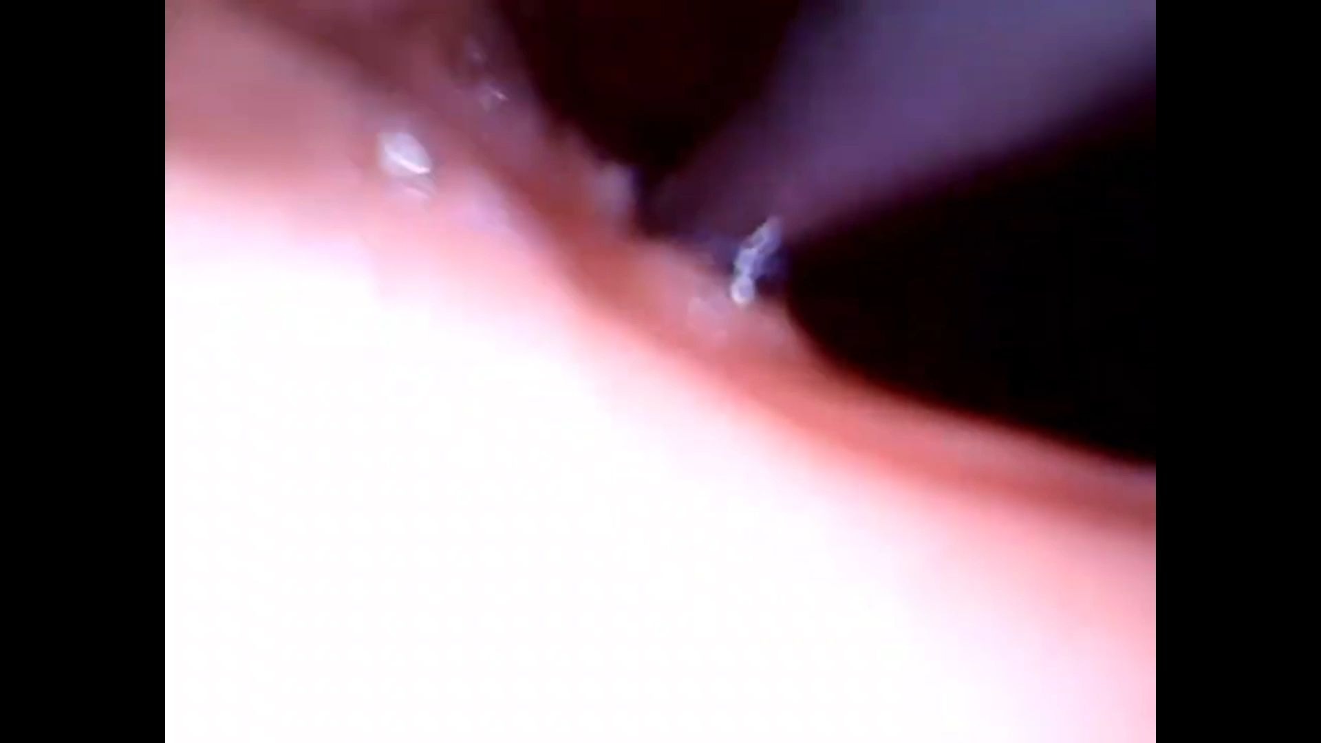 近距离观看消化系统