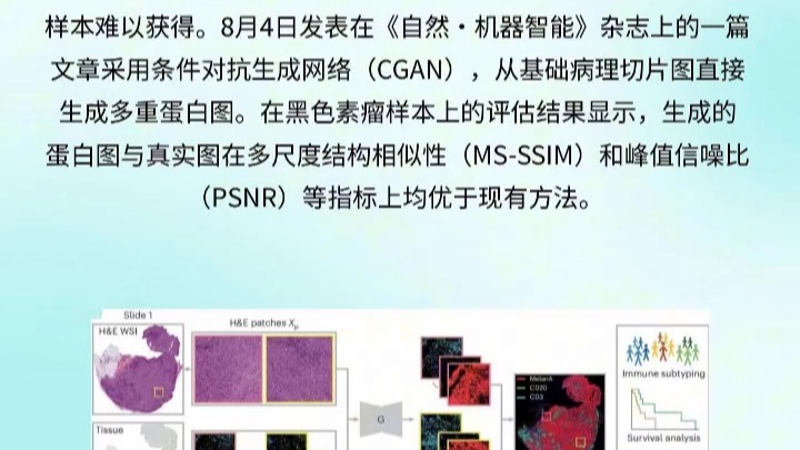 每天一个AI知识-0817  从病理切片预测多重蛋白成像