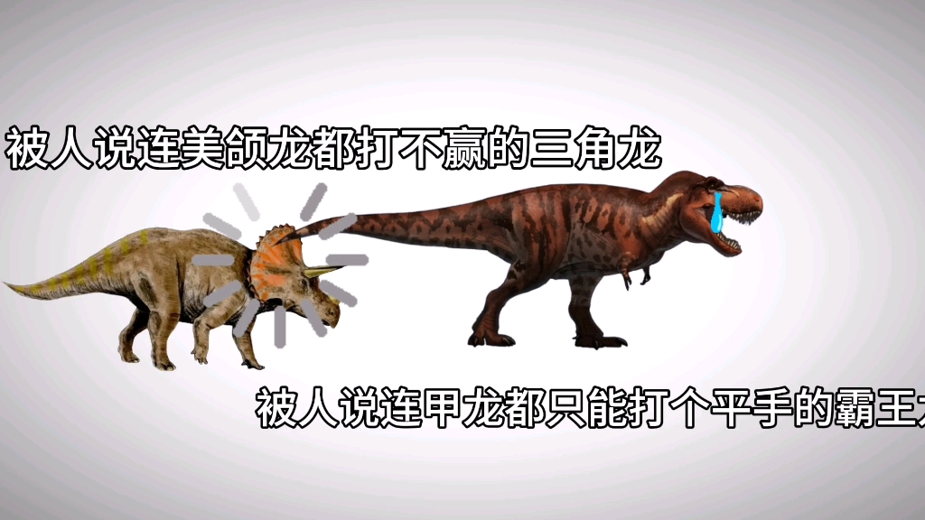 三角龙和霸王龙