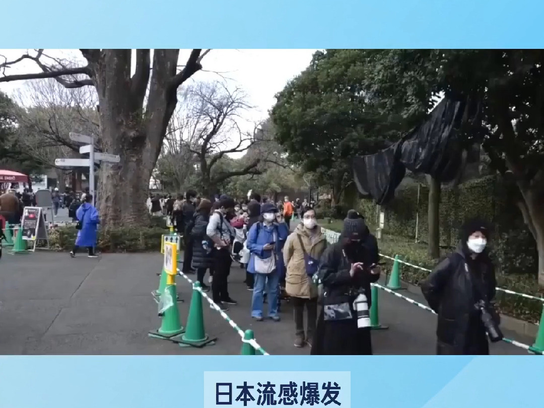 日本流感游客染病