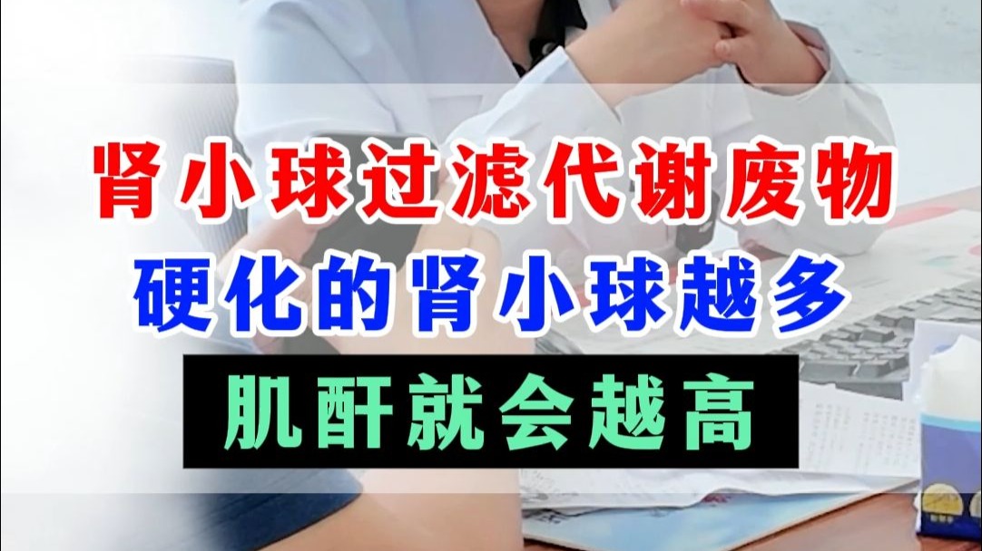 肾小球过滤代谢废物，硬化的肾小球越多，肌酐就会越高