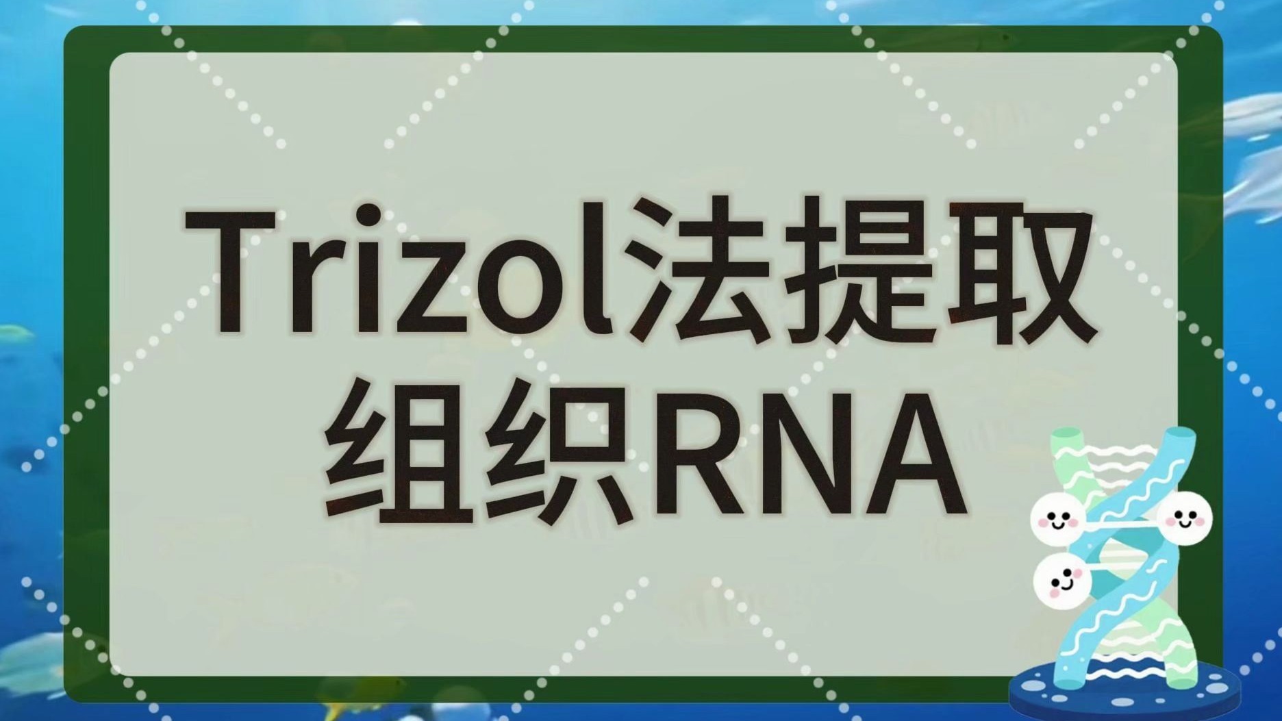 Trizol法提取组织RNA