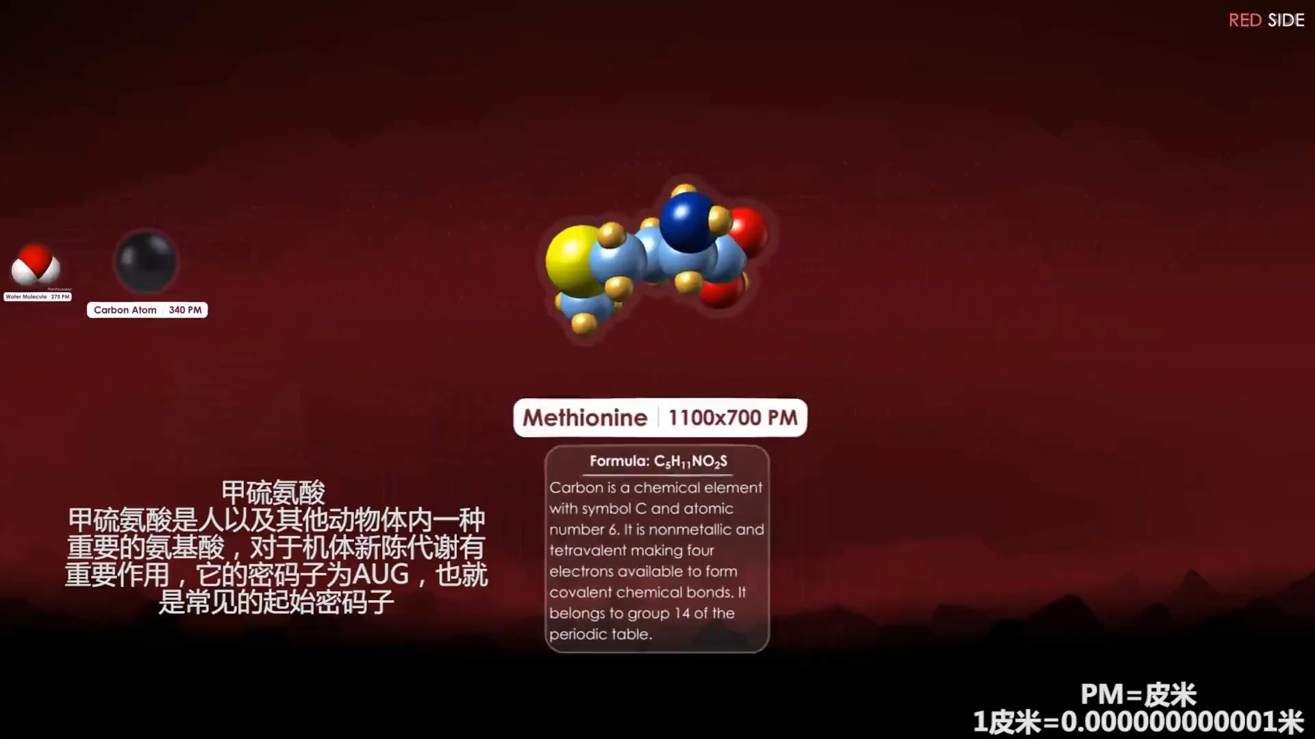 1_1.1 细胞和分子大小对比