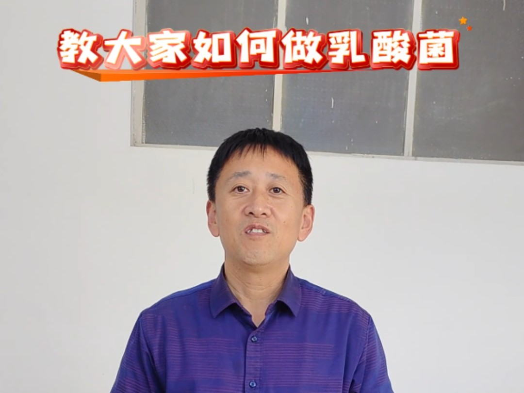 教大家如何做乳酸菌？菌种代加工、乳酸菌、枯草芽孢杆菌、丁酸